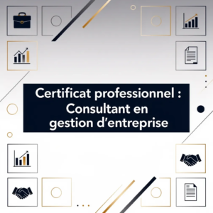 Certificat professionnel : Consultant en gestion d'entreprise
